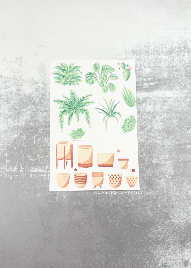 Veröffentlichung August 2026:  – Summer Clothing Release Bewertung und Preis