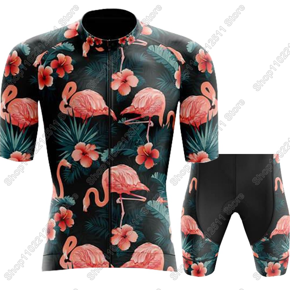 2025, Flamingo Radfahren Jerse – Summer Clothing Men Sale Bewertung und Preis